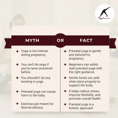 Is yoga too intense? Can beginners join? This myth-or-fact graphic answers these questions and more, clarifying that prenatal yoga is a gentle, safe, and holistic approach suitable for everyone, regardless of experience.
