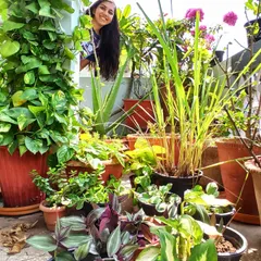 Just me, peeking out from my happy place. My balcony is crowded with plants like pothos, wandering jew, and lemongrass, and I wouldn't have it any other way.