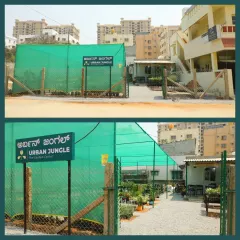 From an empty plot to a thriving garden center. This before-and-after view shows the entrance to Urban Jungle, now a welcoming green space for our community.