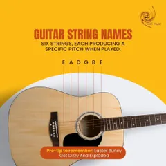 Learning the names of the six guitar strings is essential. We even have a fun pro-tip to help you remember: Easter Bunny Got Dizzy And Exploded.