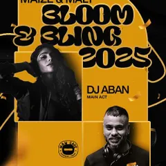 The official event flyer for the NYE 2025 party. As you can see, I often collaborate with other top DJs for major events to provide a diverse and continuous musical experience.