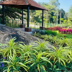 A beautiful park landscape featuring a mix of colorful foliage and green plants. We designed this space with a gazebo nestled among natural rock formations, creating a picturesque spot to enjoy the outdoors.