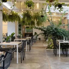 An indoor-outdoor restaurant space is enhanced with hanging ferns, climbing vines, and large potted plants. This creates a lush, inviting atmosphere for diners.