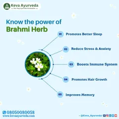 Know the power of the Brahmi herb, a cornerstone of Ayurvedic medicine. It is known to promote better sleep, reduce stress and anxiety, boost the immune system, encourage hair growth, and improve memory.