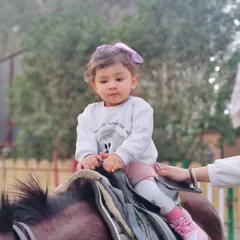 We ensure a safe and delightful experience for even our youngest guests. This photo captures a toddler's first interaction with one of our gentle horses, making for a precious family memory.