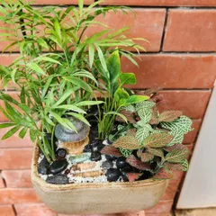 A slightly different angle of the terrarium, highlighting the red and green Fittonia. I carefully place each element, from the plants to the black river stones, to create a balanced and aesthetically pleasing composition.
