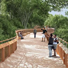A render of the Malabar Hill Forest Trail, envisioning a space where people can walk, rest, and connect with nature high above the forest floor.