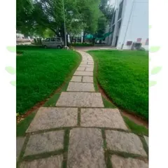 A beautiful stone pathway at the SETS campus. I create durable and attractive landscapes for institutions and commercial clients.