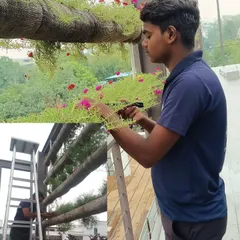 Our team is shown here maintaining a unique horizontal tube vertical garden. We ensure every plant, from flowering portulaca to leafy greens, receives the care it needs to thrive, even in unconventional and large-scale installations.