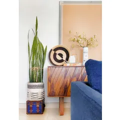 Baskets are endlessly versatile. Here, a beautiful black and white woven basket serves as a stylish planter for a snake plant, adding texture and pattern to this living room corner.