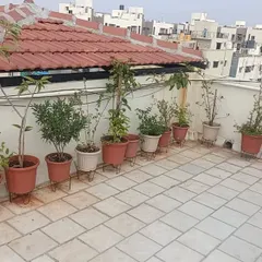 A simple and effective way to green up your terrace is with a neat row of potted plants. I use pot stands to improve drainage and create a clean, organized look on this tiled rooftop.