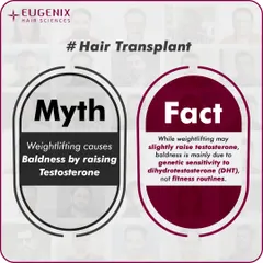 Myth: Weightlifting causes baldness by raising testosterone. Fact: While weightlifting may slightly increase testosterone, genetic baldness is primarily caused by sensitivity to Dihydrotestosterone (DHT), not your fitness routine. Don't let this myth stop you from staying active.
