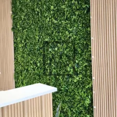 A vertical garden serves as an excellent backdrop for a reception desk or commercial entryway. Here, the dense green wall contrasts with the wood-paneled louvers, creating a modern and welcoming first impression.