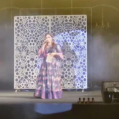 On the grand stage, addressing the audience. My job is to be the bridge between the performances on stage and the energy of the crowd, keeping everyone hooked.