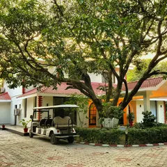 The sprawling landscape of the Doon Homestay, designed to feel both grand and intimate. We preserved the magnificent existing mango tree as a central feature, designing the driveway and garden beds around it to honor the site's natural heritage.