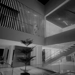 A black and white shot emphasizing the clean lines and geometric purity of this interior. The floating staircase, glass railings, and double-height space create a composition of minimalist elegance.