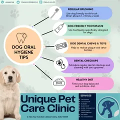 I believe prevention is the best care, which is why I love educating pet parents. This guide to dog oral hygiene covers essential tips, from using the right dog-friendly toothpaste to the importance of dental chews for reducing plaque.