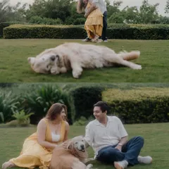 These moments are just priceless. This collage captures the hilarious and heartwarming antics of their dog, who was clearly the star of the show for a moment, alongside the couple's loving interactions.