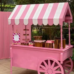 This custom pink cart was the centerpiece for a Barbie-themed party. I can arrange for themed carts and props to match your event's aesthetic perfectly.