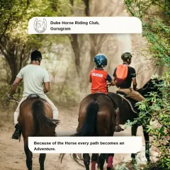 Horse riding is an adventure for all ages. We ensure a safe and fun experience for the whole family, with our guides always on hand and our calm horses leading the way, as seen with this family group enjoying a forest trail.