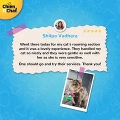 We are so happy that Shilpa and her sensitive cat had a lovely experience with us. Our gentle handling is something we take great pride in.