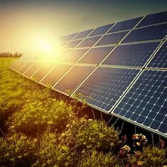 We help businesses unlock sustainability and cost savings through the power of solar. By embracing renewable energy, companies can reduce their carbon footprint and propel their brand towards a greener, more efficient future.