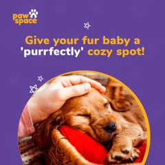 Every pet deserves a perfectly cozy spot to rest and relax. We ensure they have comfortable bedding and a peaceful space to unwind after a day of play.