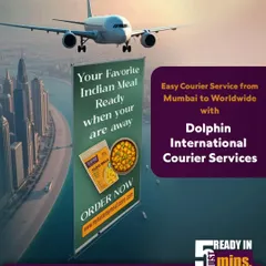 My courier service makes sending parcels from Mumbai to anywhere in the world simple. In partnership with Dolphin International Courier Services, I can ship your favorite Indian meals and personal items together, hassle-free.