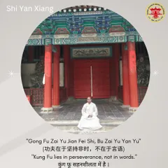This image captures the philosophy of our training. True Kung Fu is found in perseverance and action, not just words. This applies to both the physical and spiritual aspects of our practice.