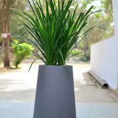 For plants that need a bit more height, I often suggest a tapered planter like this one. Its sleek, conical shape draws the eye upward and provides a stable base for taller foliage.