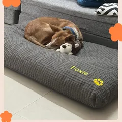 A princess on her throne. The beautiful Foxie, adopted from our center, is seen here taking a very serious nap on her personalized bed. This is the life of comfort and love we dream of for all our animals.