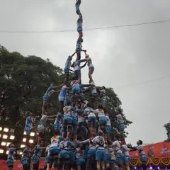 Freezing a moment of pure adrenaline and teamwork. This shot captures a Govinda pathak creating a 10-tier human pyramid during Dahi Handi, a testament to the spirit and strength I focus on documenting.