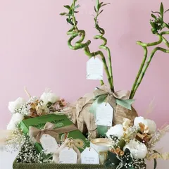A full view of the sustainable hamper, showcasing the lush greenery and thoughtfully chosen eco-friendly items. It's a perfect gift for the nature lover in your life.