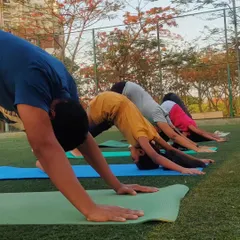 Students in my outdoor class practicing Adho Mukha Svanasana, or Downward-Facing Dog. This foundational pose is excellent for stretching the entire body and calming the mind.