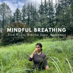 Announcing a slow and easy yoga vacation in the pristine forests of Sitla. This is an invitation to slow down, breathe deep, and reconnect with yourself and nature.