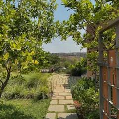 A stone pathway meanders through a lush garden filled with native grasses and fruit trees. This entrance sequence was designed to feel like a natural trail, immediately immersing visitors in a biodiverse environment.