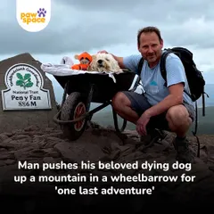 At the summit, Carlos and Monty shared a final, beautiful moment together. This incredible act of love shows the lengths we go to for our companions.