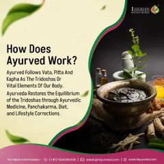 How does Ayurveda work? It is based on balancing the three doshas or vital elements: Vata, Pitta, and Kapha. We restore this equilibrium through a combination of Ayurvedic medicine, Panchakarma, diet, and lifestyle corrections.