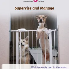 To help with house training, supervision is key. Using baby gates or crates can help you manage their environment and catch accidents before they happen, setting your pup up for success.