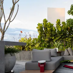 A rooftop garden that balances structured design with spontaneous nature. Sculpted greenery rises behind low, modern seating, while bold red accents and dense foliage offer privacy and a sense of escape.