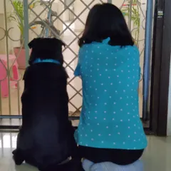 We believe in turning our backs on unhealthy, processed foods. Our journey began with a simple desire for real, wholesome food for our own dogs, and we extend that same care and commitment to yours.