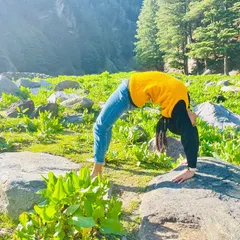 "The rhythm of the body, the melody of the mind, and the harmony of the soul create the symphony of life." Practicing Chakrasana (Wheel Pose) on the rocks, surrounded by nature.