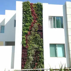 An exterior vertical garden covering a large section of a commercial or residential building. The design uses different colored plants to create a flowing, artistic pattern.