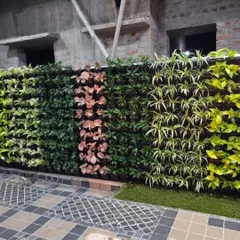 A vertical garden is more than just decoration; it's a living system. I build and maintain these walls, using a mix of plant species like Syngonium, Chlorophytum, and Fittonia to create patterns and textures that last.