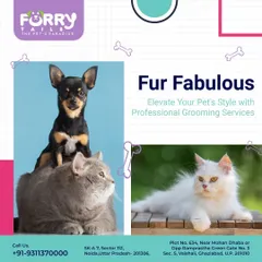 We are your destination for a "Fur Fabulous" look. We offer professional grooming services for both dogs and cats to elevate your pet's style and comfort.