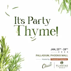 It's always party "thyme" at our festival. Explore a selection of fresh herbs that can elevate your cooking and add greenery to your home.