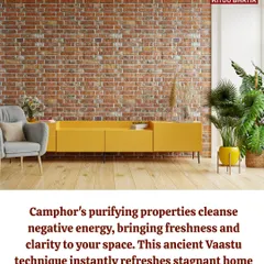 Camphor is an ancient tool for cleansing negative energy. Its purifying aroma instantly refreshes a stagnant environment, bringing a sense of freshness and clarity to your space. This is a quick way to reset your home's energy.
