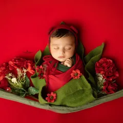 A creative shot of a newborn wrapped snugly like a little flower bud against a vibrant red backdrop. This pose highlights the baby's peaceful expression and tiny, curled-up form.
