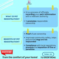 Wondering why pet registration is important? It's official proof of ownership, improves community safety, and ensures you comply with local Gurugram regulations to avoid any fines.