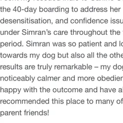 Positive feedback like this is what keeps us going. This client sent their rescued Indie for a 40-day program to address desensitization and confidence issues, and was thrilled with the remarkable results.
